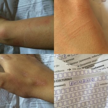 Перепись населения в Молдове превращается в массовый подлог